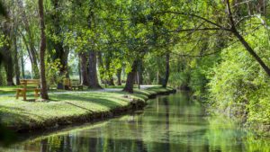 Vista delle Fonti del Clitunno. La natura fa da padrona, sulla destra lo specchio d'acqua su cui si riflettono gli alberi che si affacciano dalla riva sulla sinistra. Vicino alla riva una panchina per godere della natura.