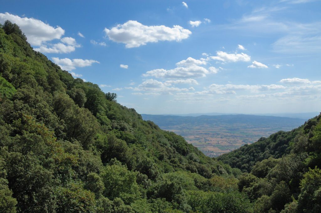 Vista dall'Eremo delle Carceri del bosco circostante e della piana sottostante.