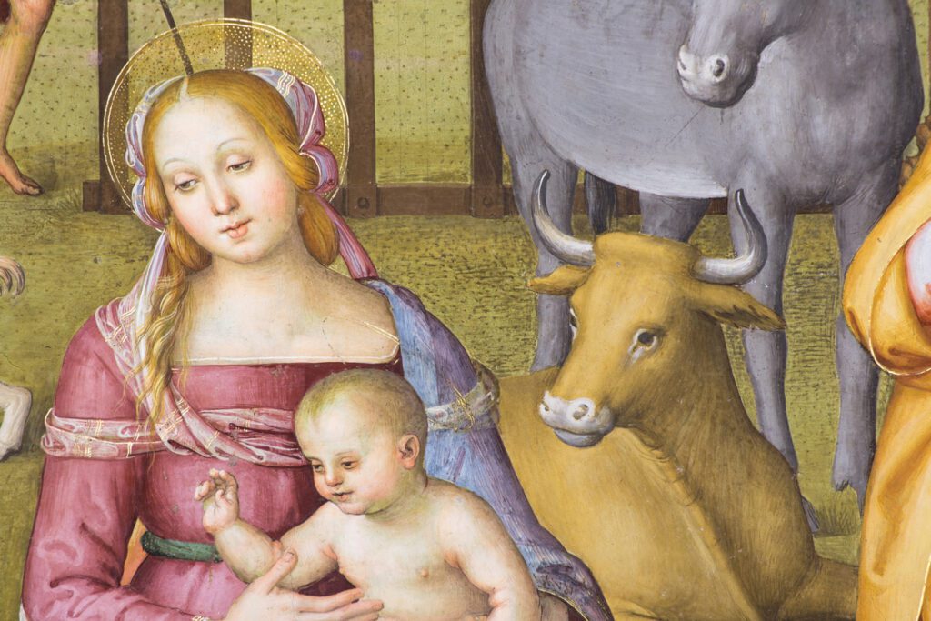 Dettaglio dell'affresco del perugino nell'Oratorio di Santa Maria dei Bianchi. Maria, seduta, tiene sulle proprie gambe Gesù bambino. A destra, sullo sfondo, il bue e l'asinello.