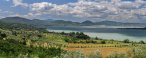 Panorama del Lago Trasimeno. In primo piano campi e oliveti immersi nel verde. Dalla destra dell'immagine si spingono verso il centro le acque del lago, circondate sullo sfondo da monti e colline verdi.