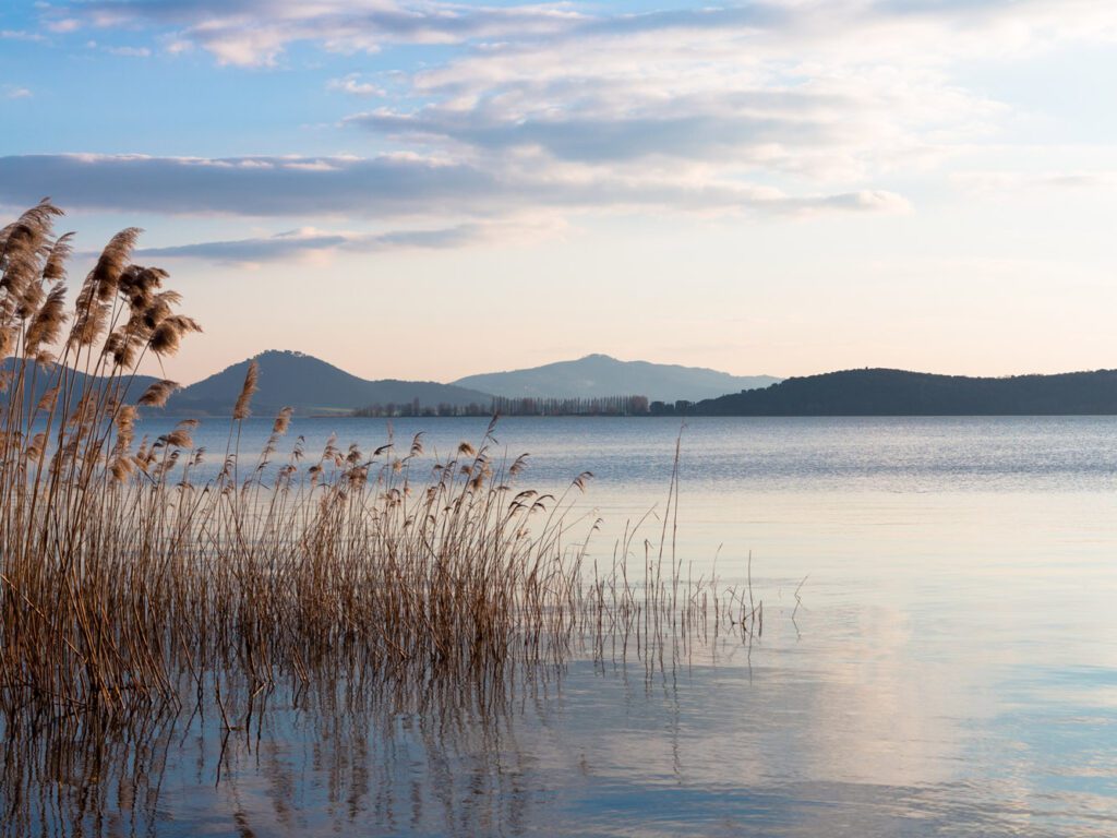 scorcio del lago visto da riva al tramonto, con un canneto in primo piano sulla sinistra e le colline sullo sfondo