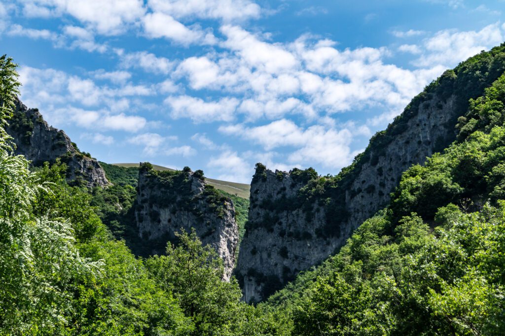 due creste rocciose ricoperte da fitta vegetazione con la montagna sullo sfondo 