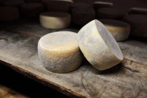 inquadratura di lato di un ripiano in legno dove sono adagiate delle forme di pecorino toscano