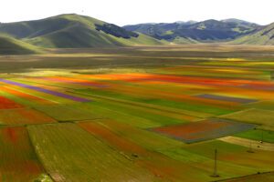 immagine panoramica della piana di castelluccio di norcia durante la fioritura. In primo piano, il Pian Grande coperto di fiori di tutti i colori. Sullo sfondo, il Pian Piccolo e i Monti Sibillini che circondano la Piana.