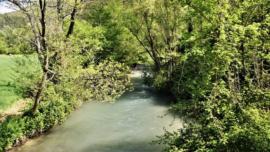 Photo of a section of the River Nera surrounded by vegetation on both banks. On the left, beyond the vegetation there is a field, so the river is close to cultivated land.